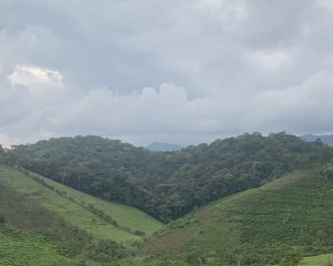 Climate bwindi park
